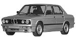 BMW E28 P0C6A Fault Code