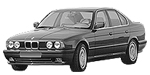 BMW E34 P0C6A Fault Code